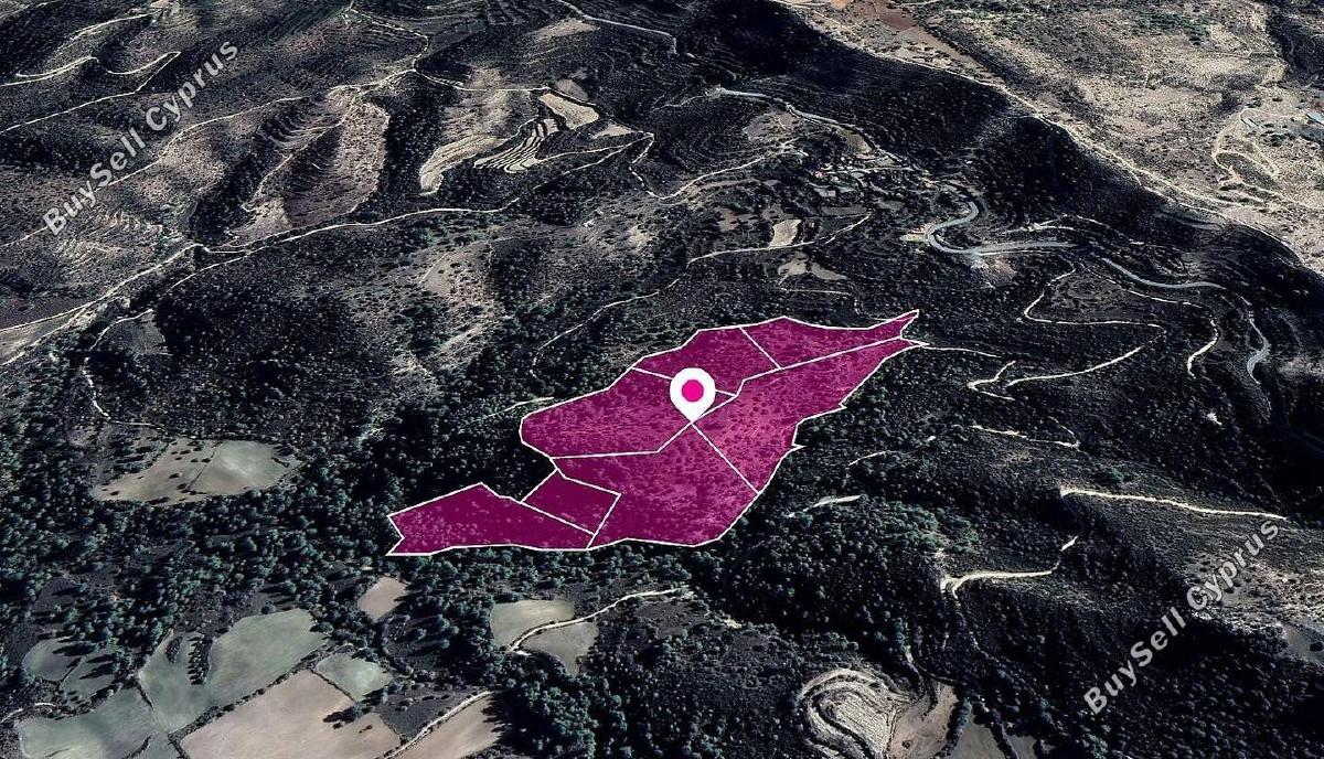 land for sale mousere paphos 1897570 image 14206423