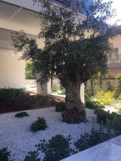2 bedroom apartment for sale katholiki limassol 7739670 image 12170116