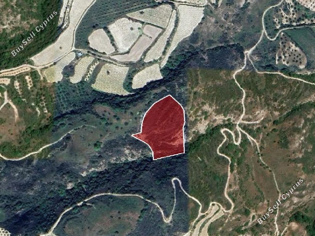 land for sale theletra paphos 824670 image 15598636