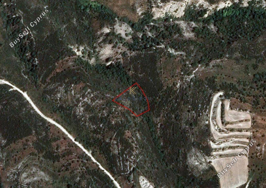 land for sale dora limassol 1194770 image 5570429