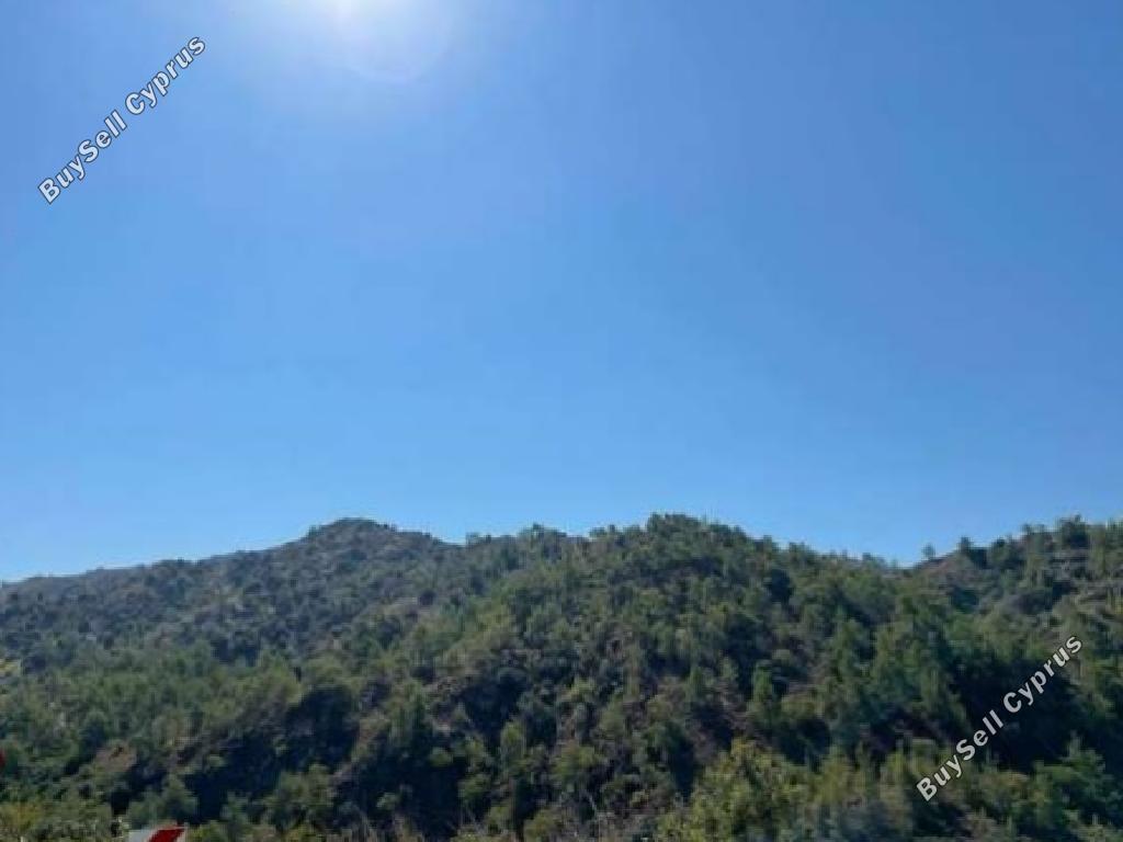 land for sale kalo chorio lemesou limassol 962770 image 15601865