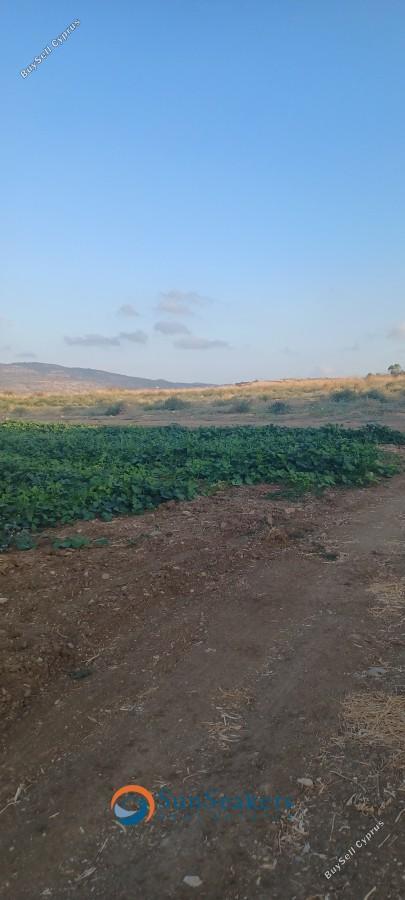 land for sale poli chrysochous paphos 8529770 image 15457206