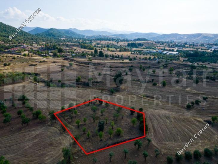 plot for sale klirou nicosia 7871770 image 15884920