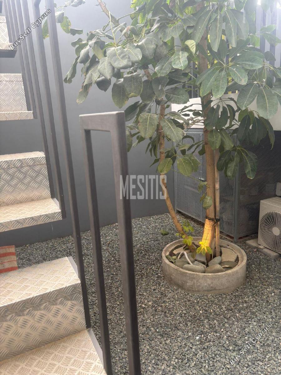 studio apartment for rent agios andreas nicosia nicosia 8238870 image 16340215