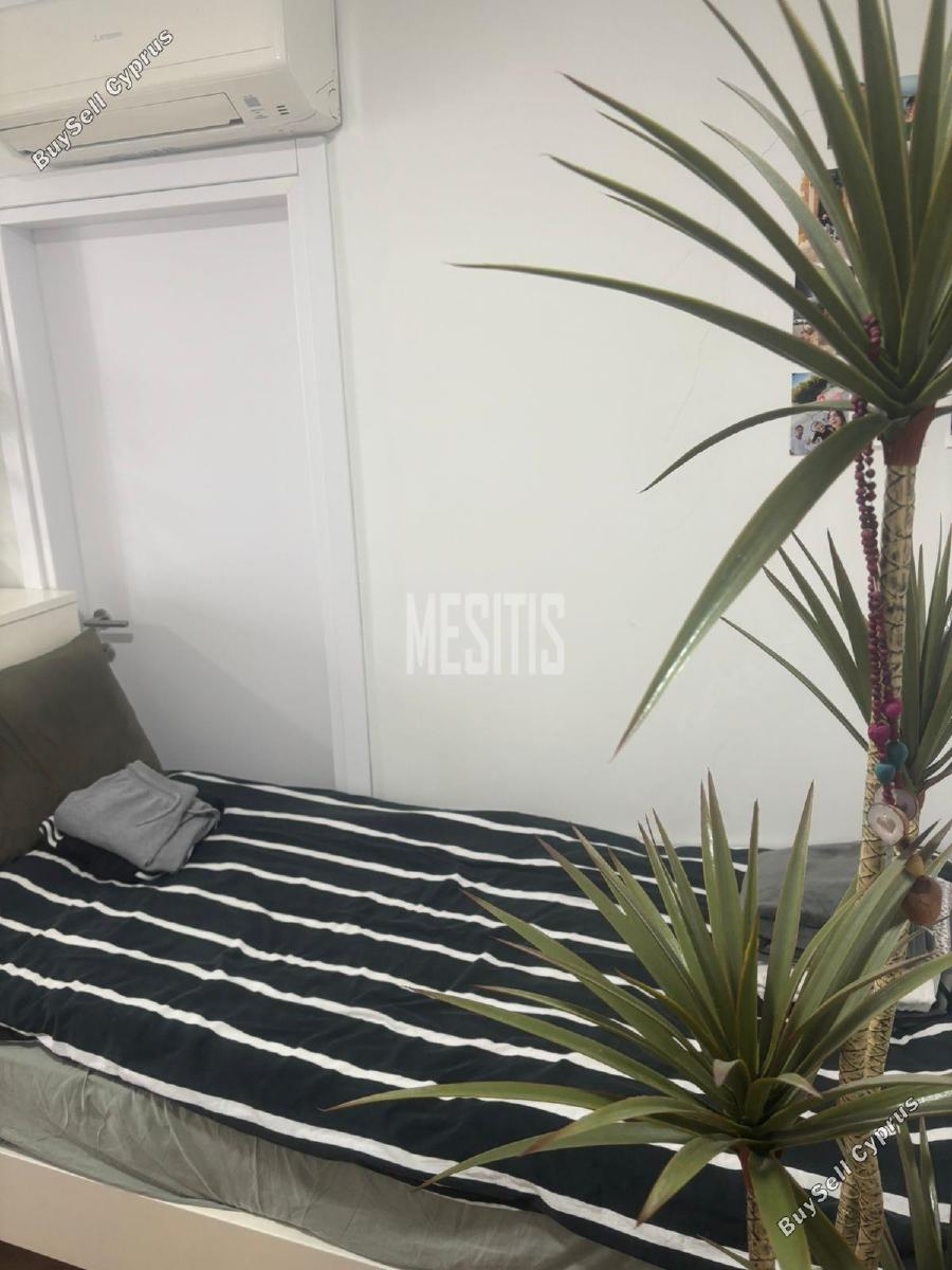 studio apartment for rent agios andreas nicosia nicosia 8238870 image 16340216