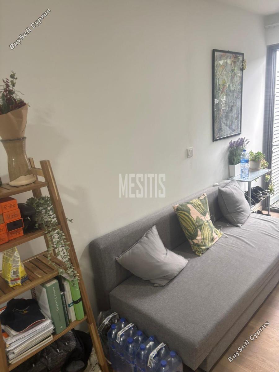 studio apartment for rent agios andreas nicosia nicosia 8238870 image 16340222