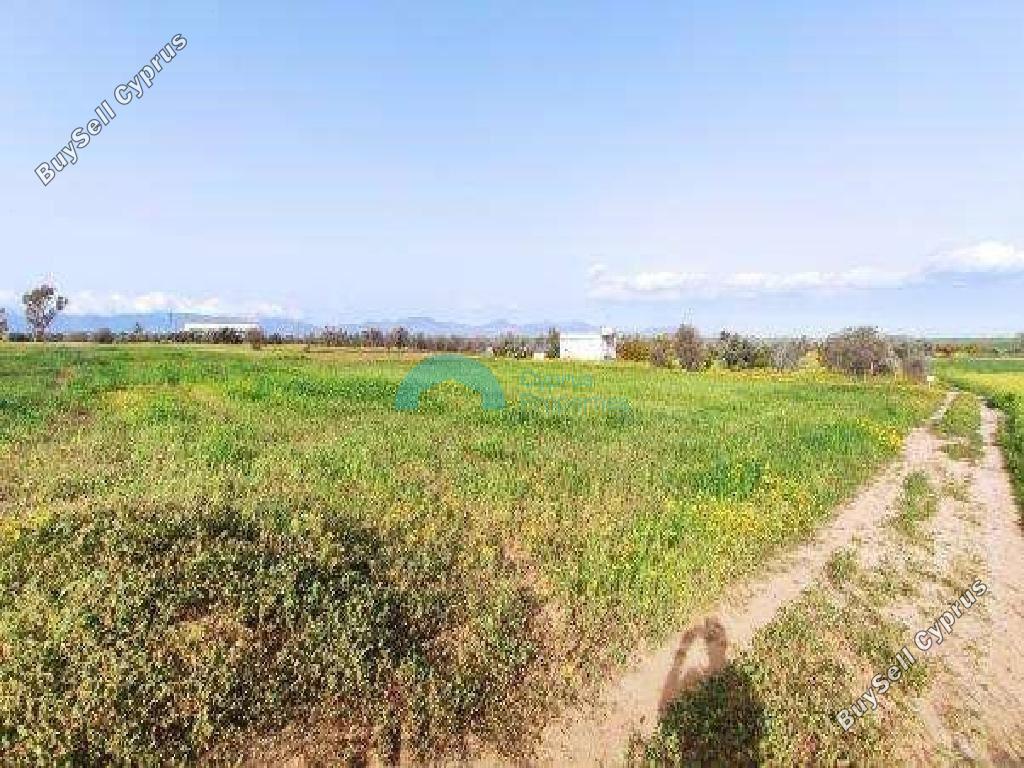 land off market palaiometocho nicosia 1909970 image 7366233