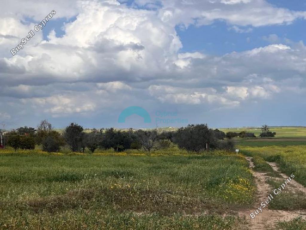 land off market palaiometocho nicosia 1909970 image 7366234
