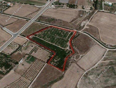 land for sale koloni paphos 1681080 image 9623923