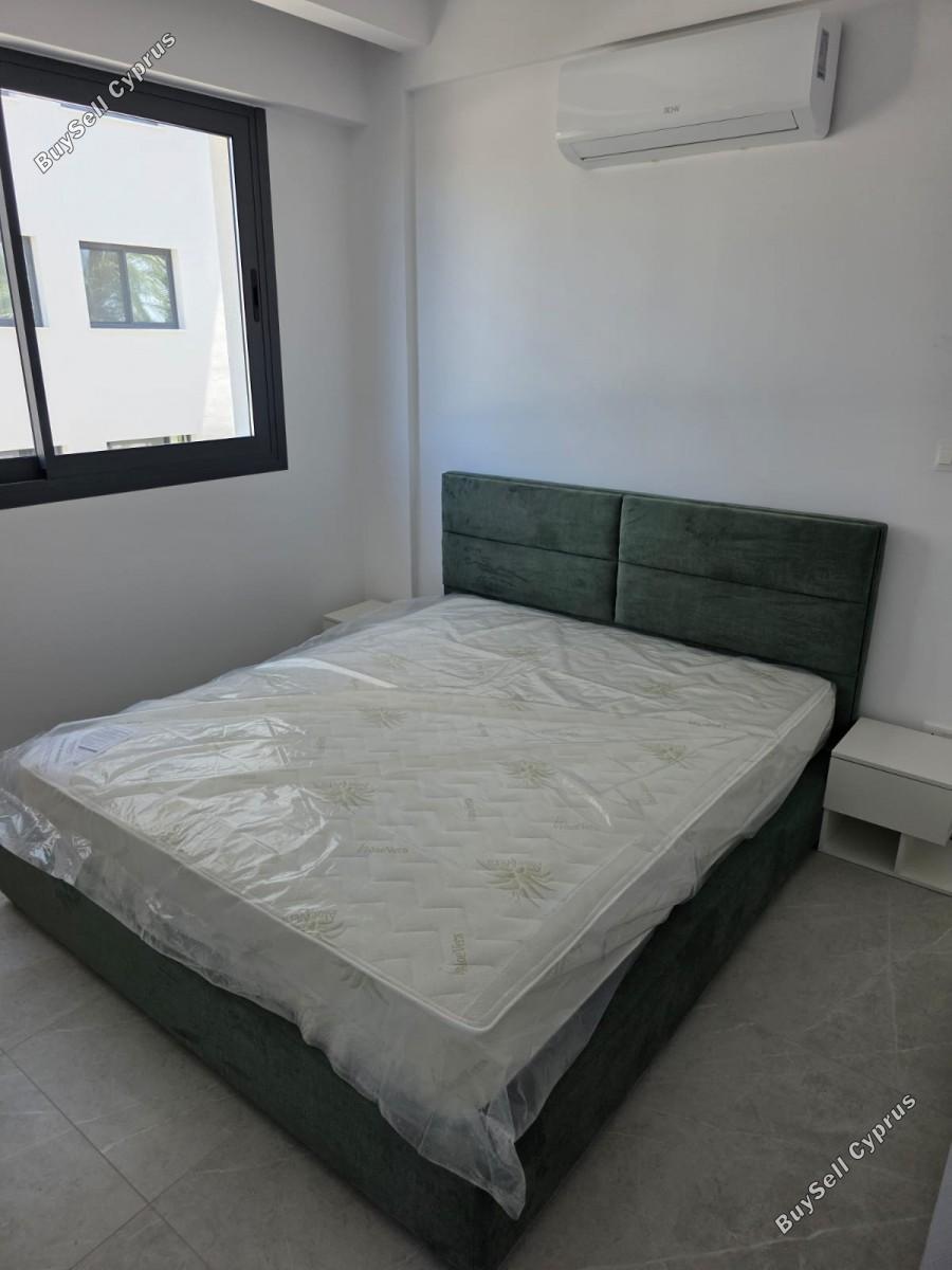 2 bedroom apartment for rent paphos municipality paphos 8772180 image 16596140
