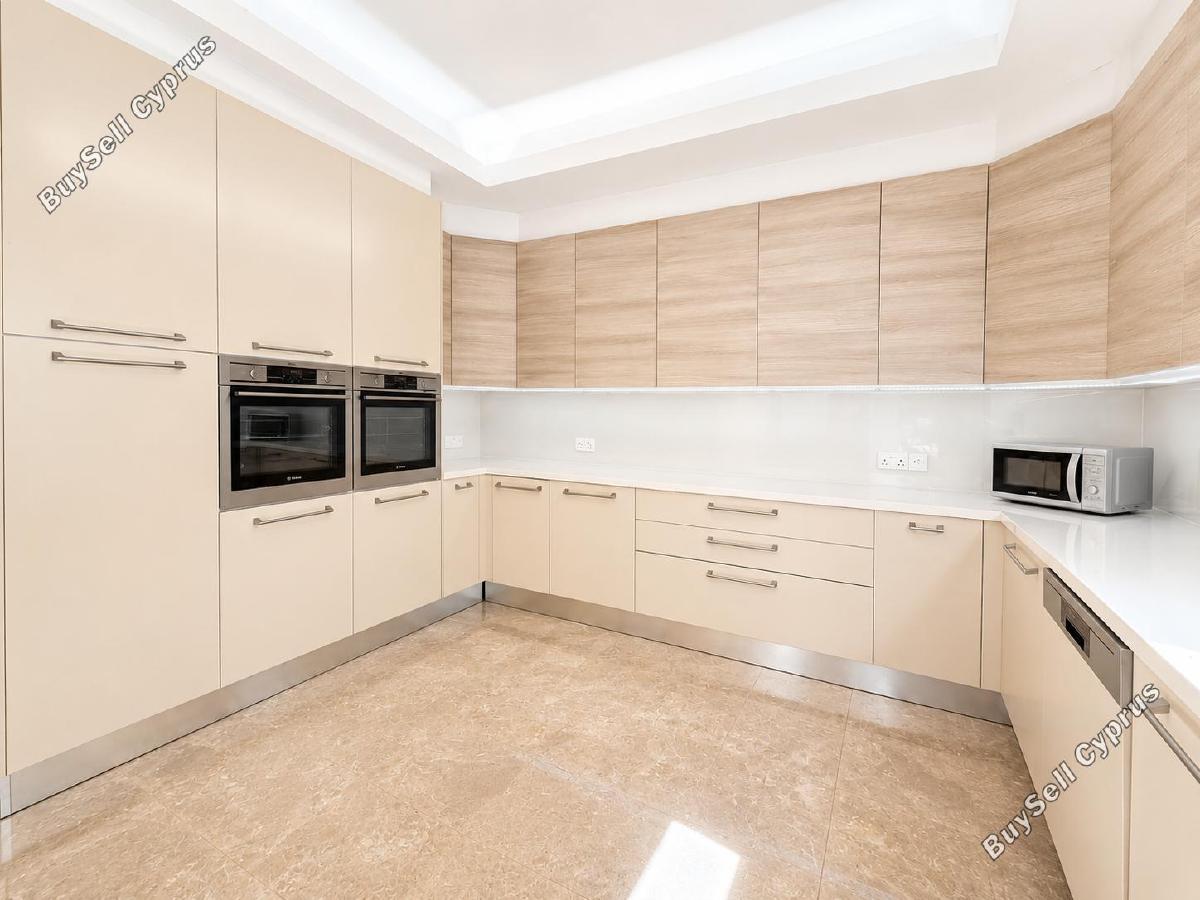 4 bedroom detached house for rent agios andreas nicosia nicosia 8917180 image 17520890