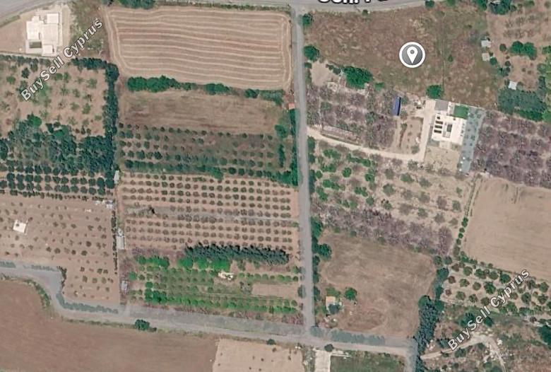 plot for sale geroskipou paphos 8920180 image 17549803