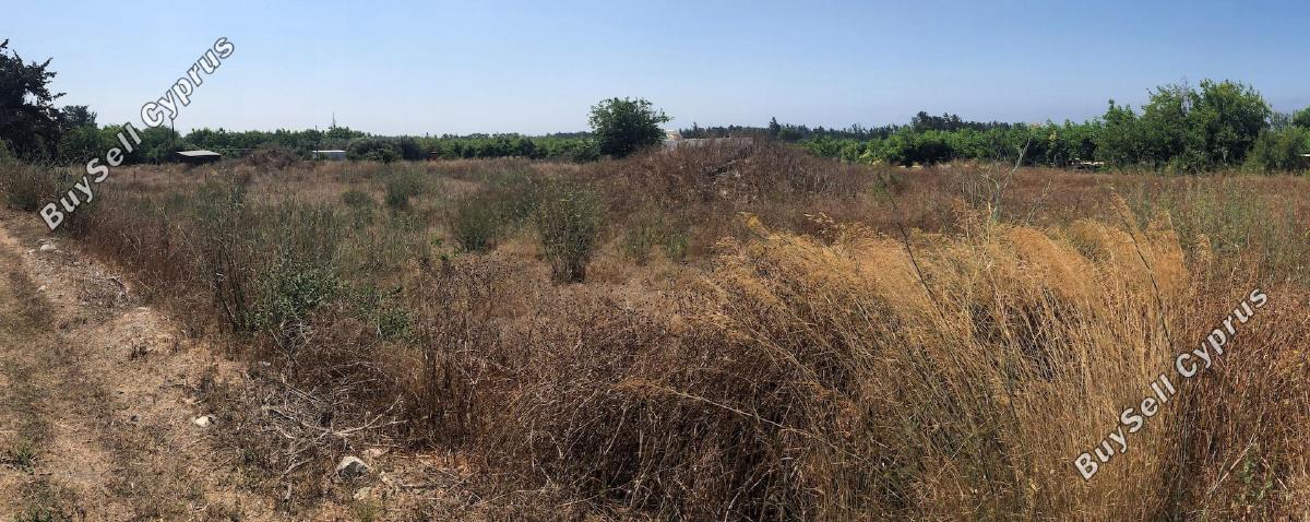 plot for sale geroskipou paphos 8920180 image 17549806