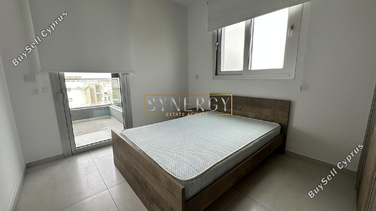 1 bedroom apartment for rent aglantzia nicosia 8665280 image 16339856