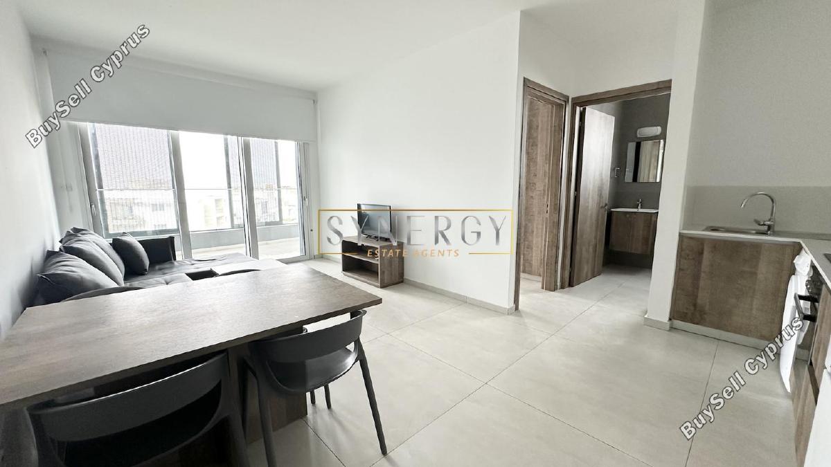 1 bedroom apartment for rent aglantzia nicosia 8665280 image 16339860