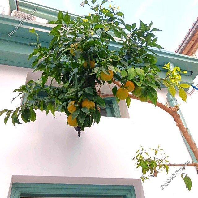 2 bedroom town house for rent nicosia walled old city nicosia 8705280 image 16248671