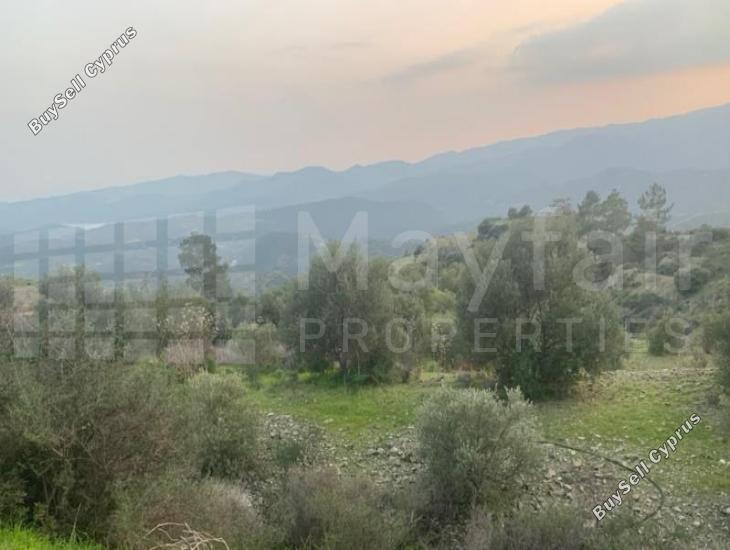 land for sale lageia larnaca 7871280 image 11380823