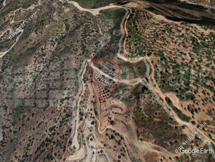 land for sale lageia larnaca 7871280 image 11380824