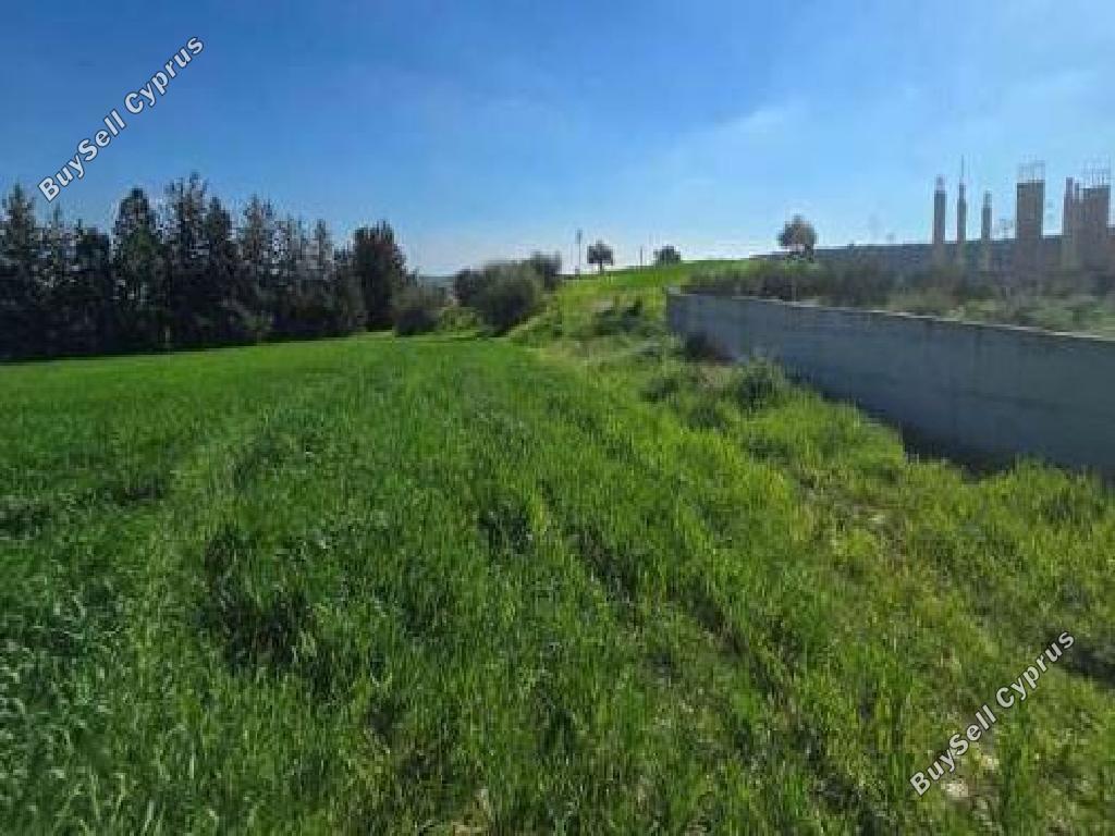 land under offer alaminos larnaca 8139380 image 13386929