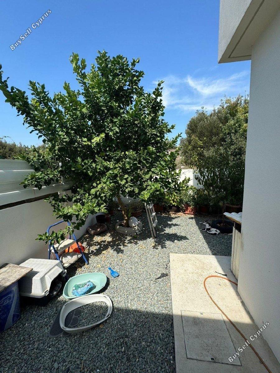 3 bedroom detached house for rent tremithousa paphos 8897480 image 17346166