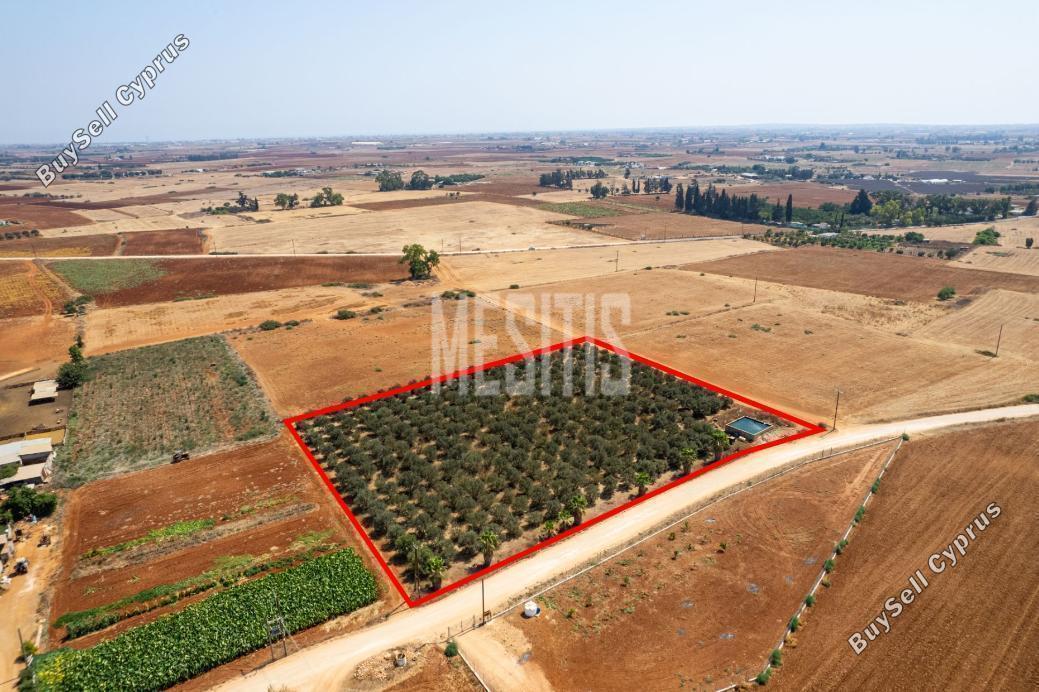land for sale avgorou famagusta 1393480 image 15891765
