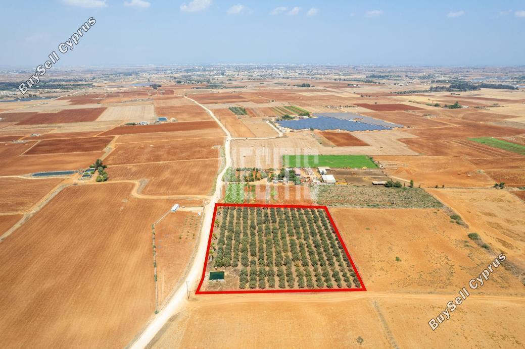 land for sale avgorou famagusta 1393480 image 15891767