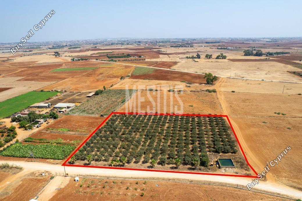 land for sale avgorou famagusta 1393480 image 15891768