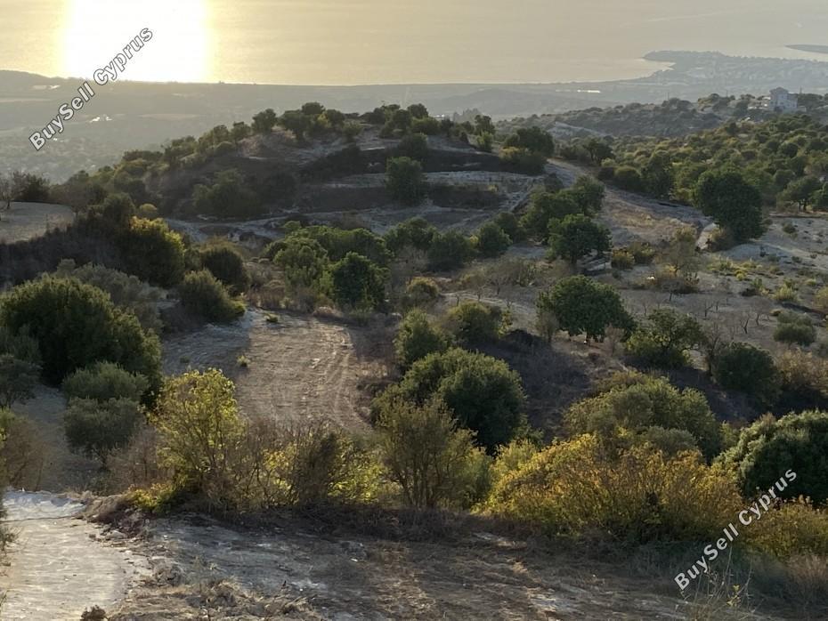 land for sale koili paphos 7739480 image 11749757