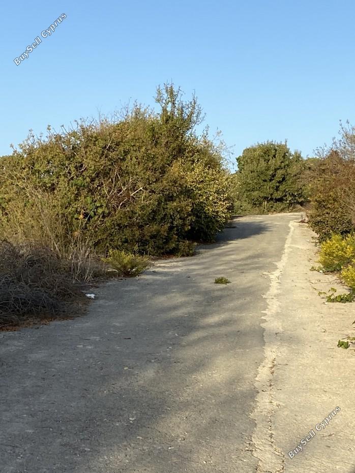 land for sale koili paphos 7739480 image 11749760
