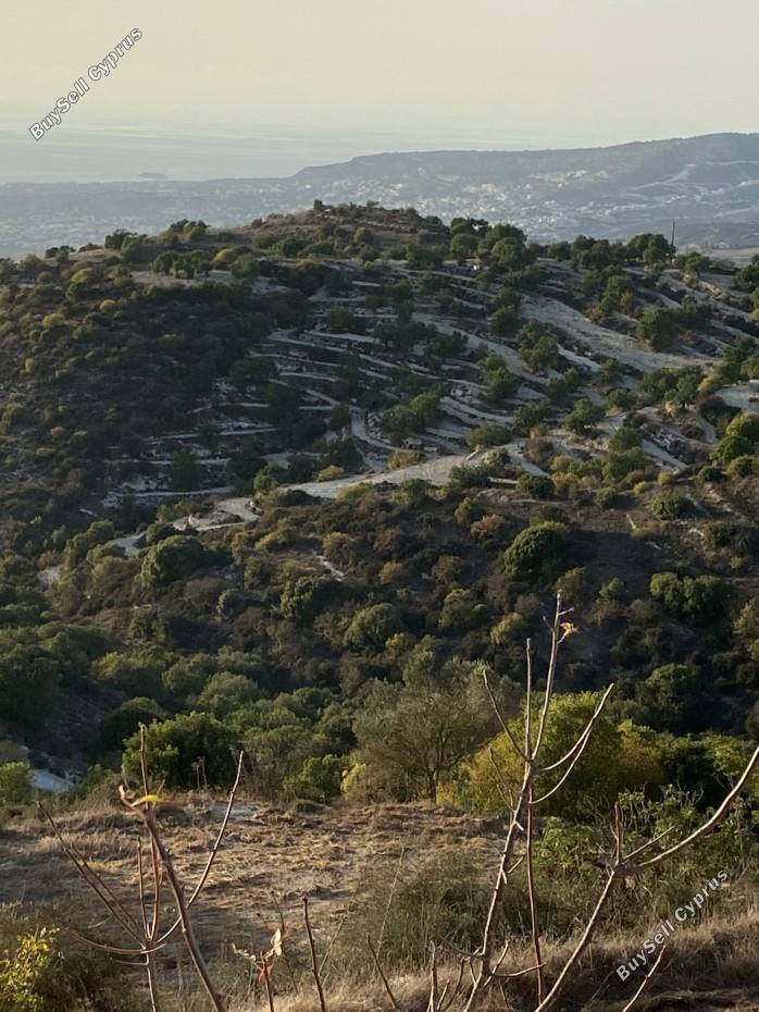 land for sale koili paphos 7739480 image 12575093