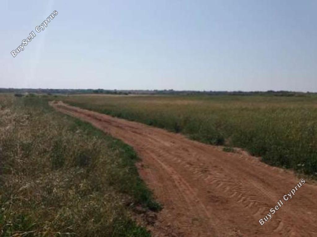land for sale paralimni famagusta 8274480 image 15596018