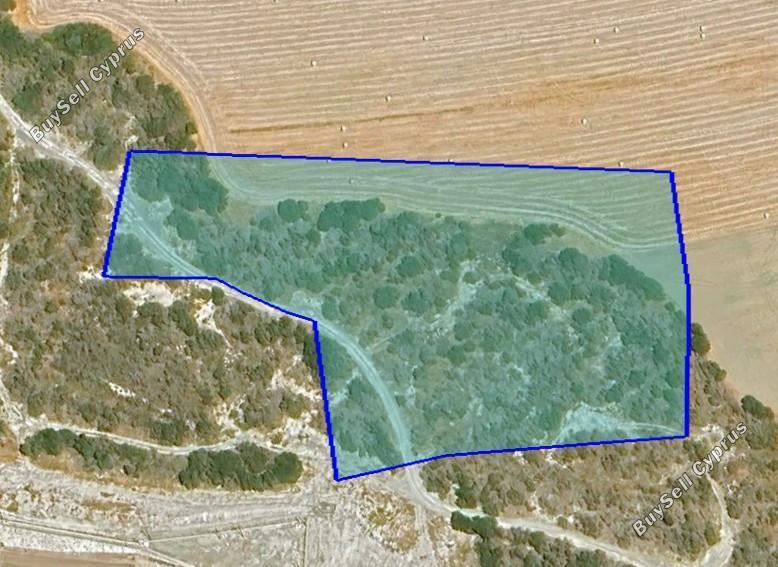 land for sale pyrgos limassol limassol 1870480 image 6919124