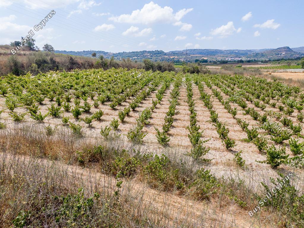 land for sale stroumbi paphos 7703580 image 15594781