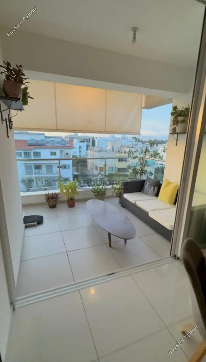 2 bedroom apartment for rent strovolos nicosia 8748680 image 16467661