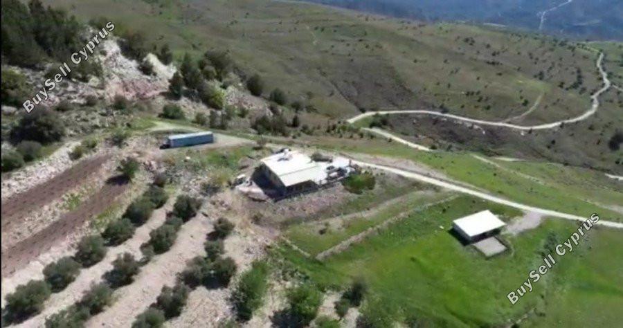 3 bedroom bungalow for sale kilinia paphos 8450680 image 15082029