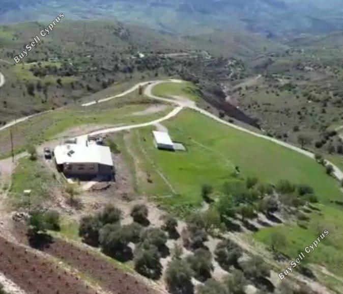 3 bedroom bungalow for sale kilinia paphos 8450680 image 15082033