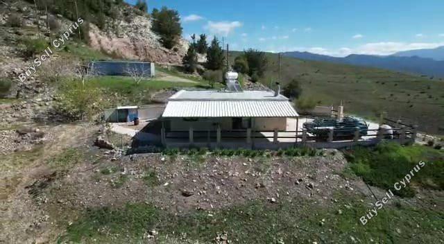 3 bedroom bungalow for sale kilinia paphos 8450680 image 15082038