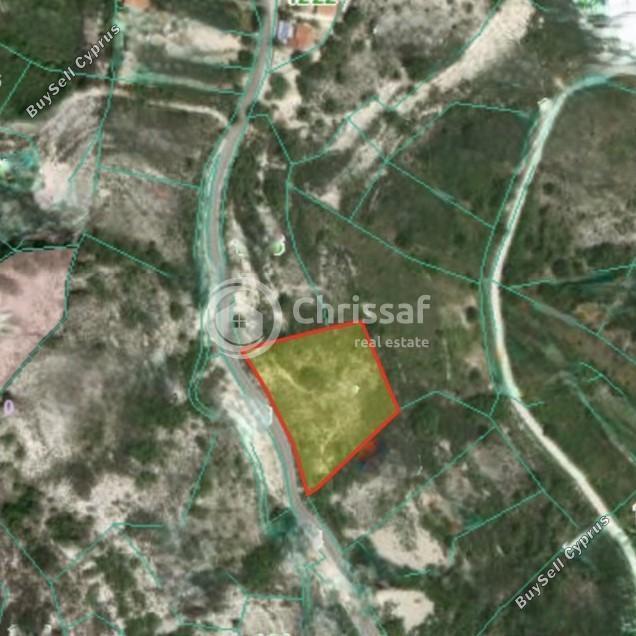 4349 SQM Land for sale in Pera Pedi, Limassol 13617977