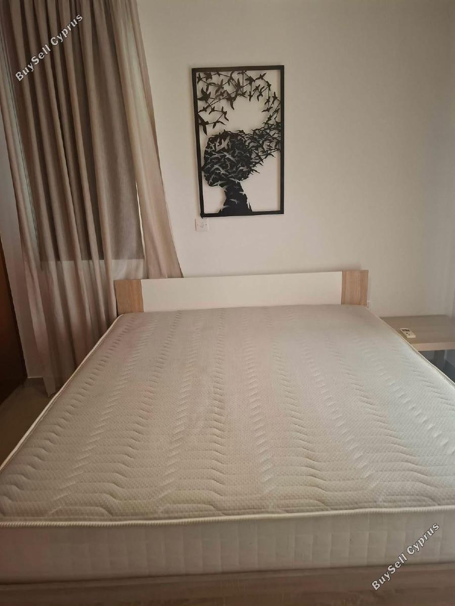 2 bedroom apartment for rent larnaca municipality larnaca 8892780 image 17330127