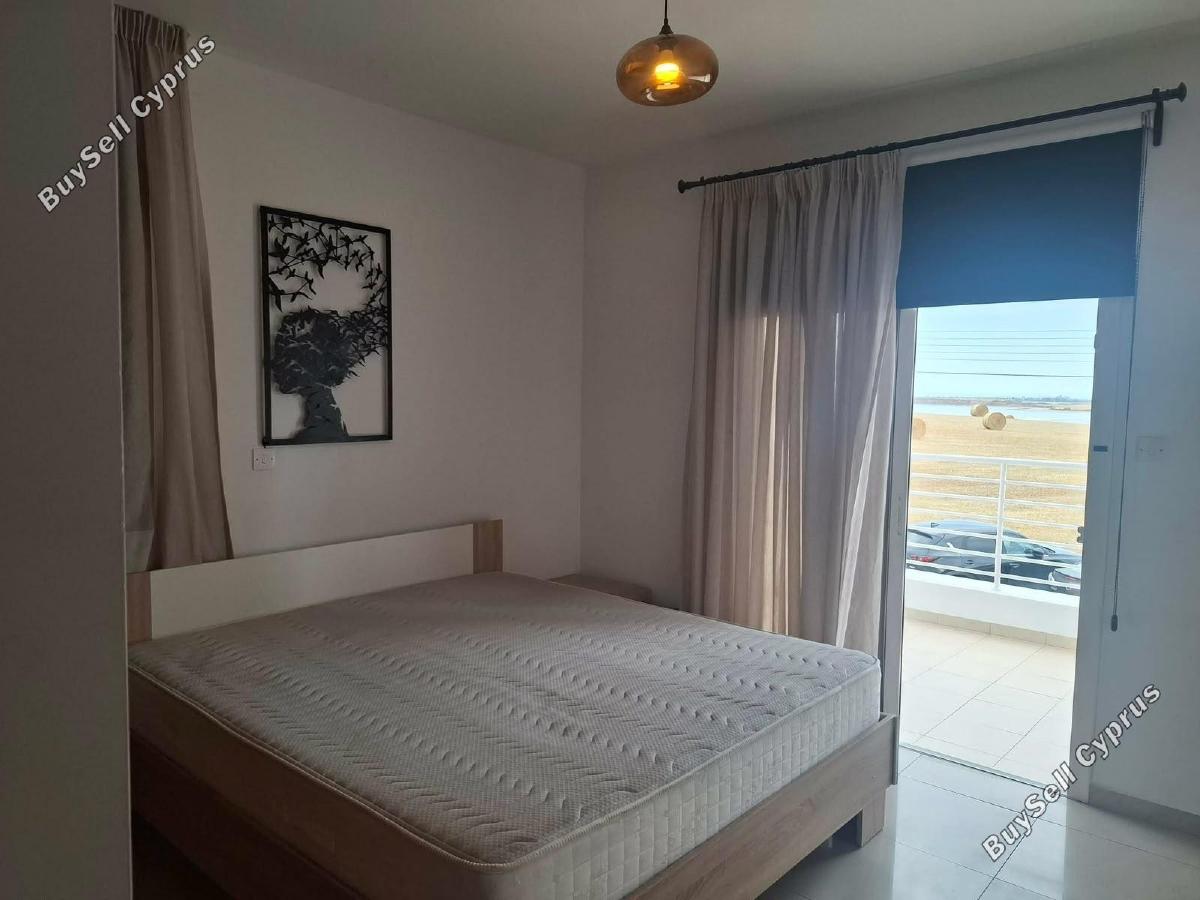2 bedroom apartment for rent larnaca municipality larnaca 8892780 image 17330128