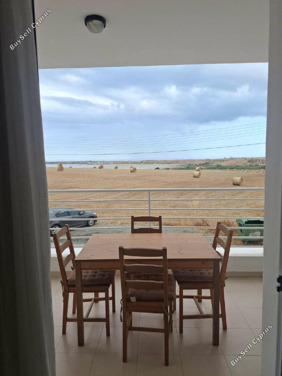 2 bedroom apartment for rent larnaca municipality larnaca 8892780 image 17380019