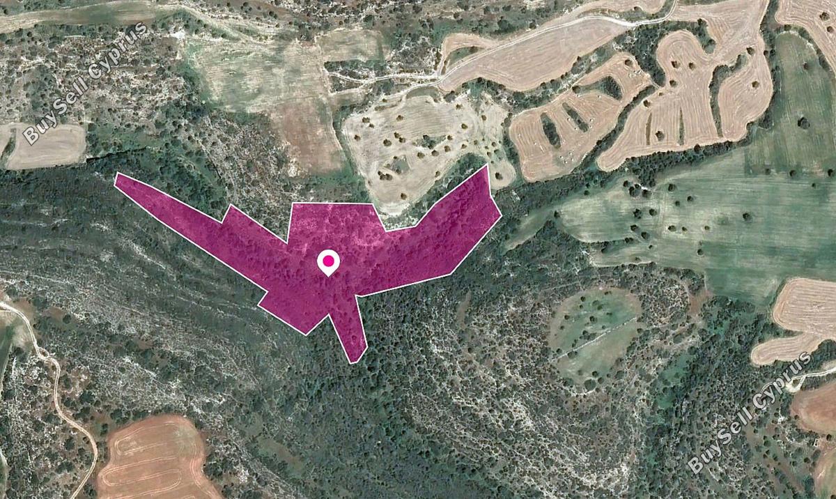 20068 SQM Land for sale in Agios Theodoros Larnacas, Larnaca 2007125