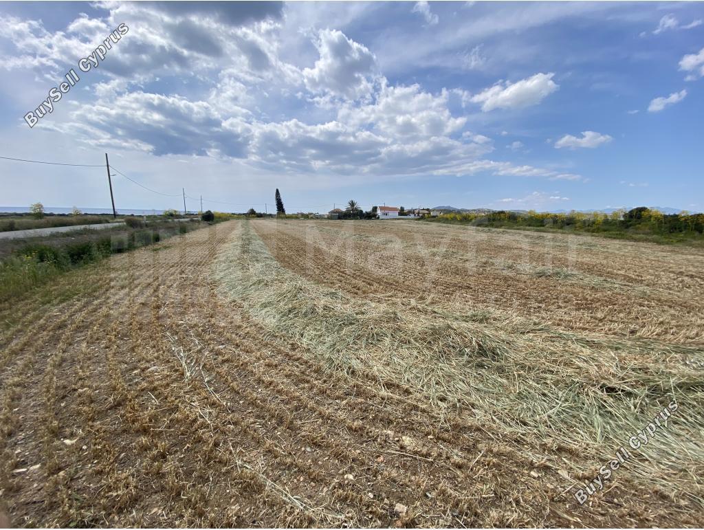 land for sale alaminos larnaca 7873780 image 11394795