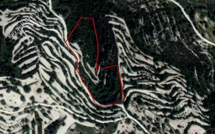 10703 SQM Land for sale in Koili, Paphos 16249073