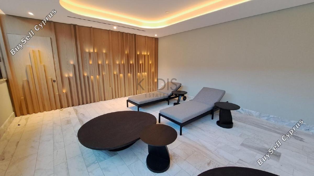 1 bedroom apartment for rent potamos germasogeias limassol 8639980 image 16338128