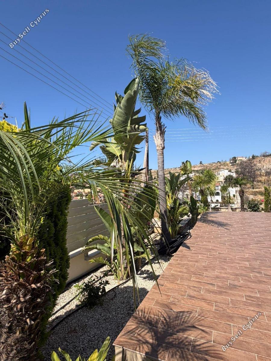 3 bedroom detached house for rent souni zanakia limassol 8785980 image 16693216
