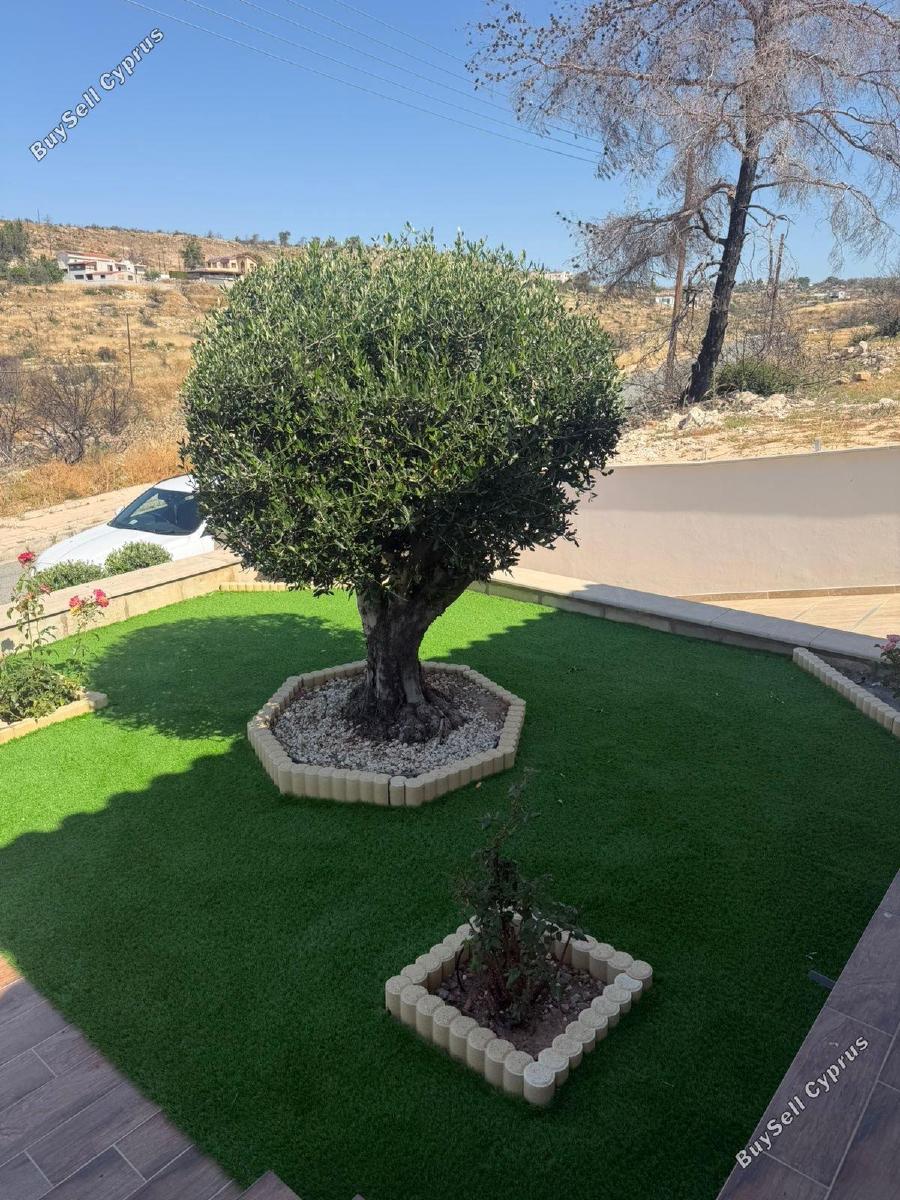 3 bedroom detached house for rent souni zanakia limassol 8785980 image 16693218