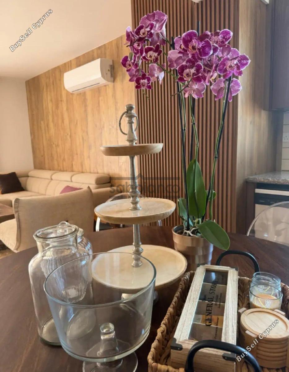 3 bedroom apartment for rent limassol municipality limassol 8880090 image 17262765