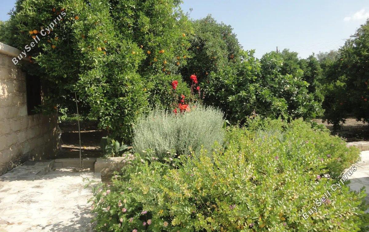 4 bedroom apartment for rent kritou tera paphos 8615090 image 15809882
