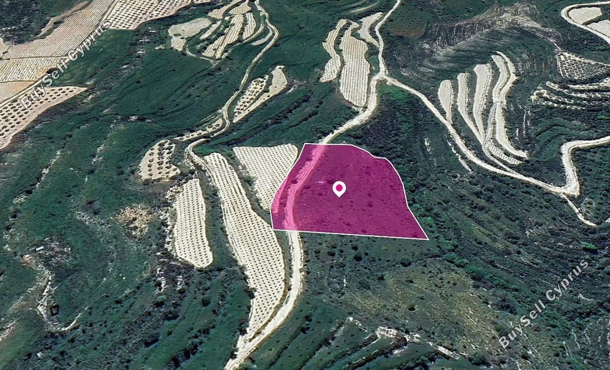 land for sale koili paphos 8396090 image 14823617